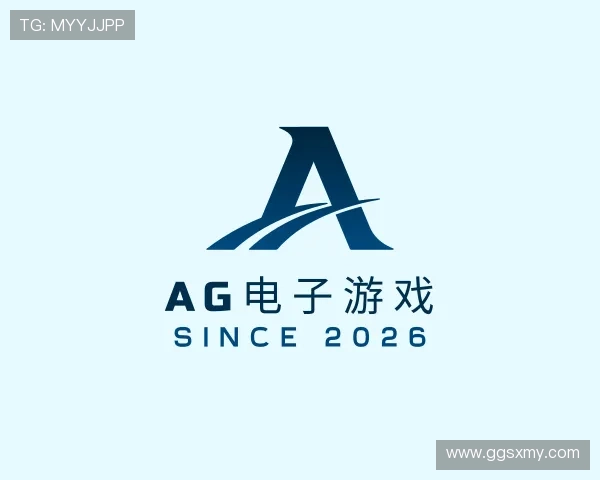 关于AG电子游戏